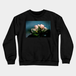 Apple Tree Flower Buds Crewneck Sweatshirt